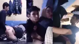 Ngewe Hijab Kacamata Montok Video by xHamster